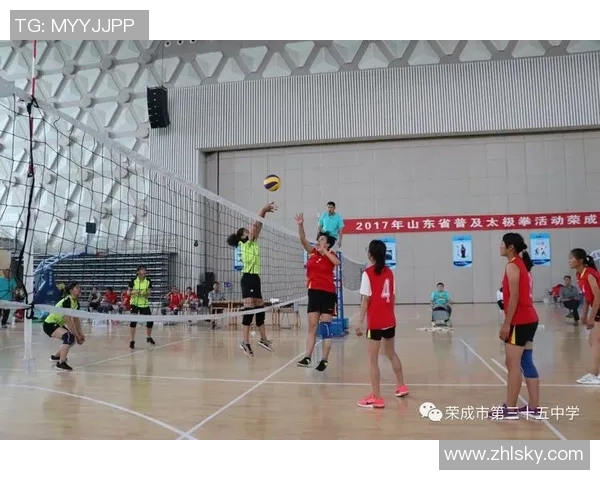 北京排球队在全国排球配合排行榜中荣获第五名的佳绩分析