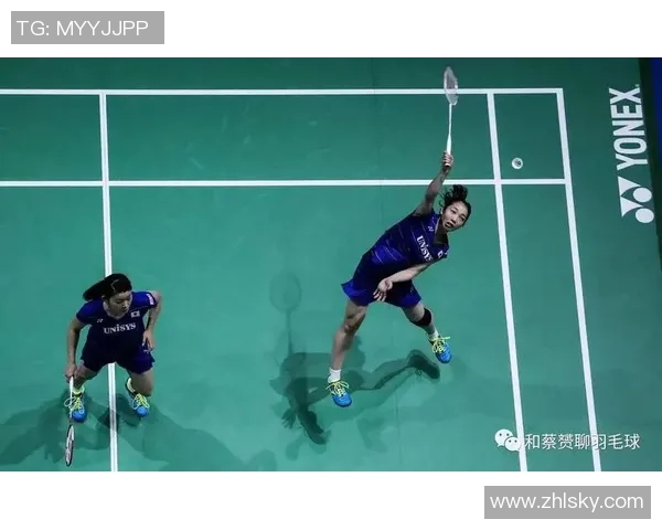 南京羽毛球队转型之路的挑战与机遇全景揭秘